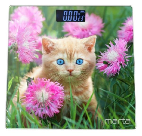 ���� ����������� MARTA MT-1608 ����� �������
