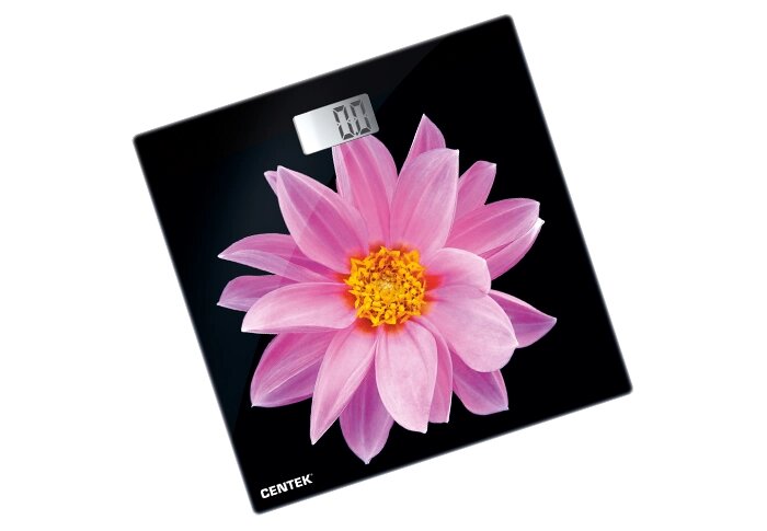 ���� ��������� Centek CT-2416 (Pink Flower) ����������� 180 ��, 0,1��, LCD 45x28, ������ 26�26��