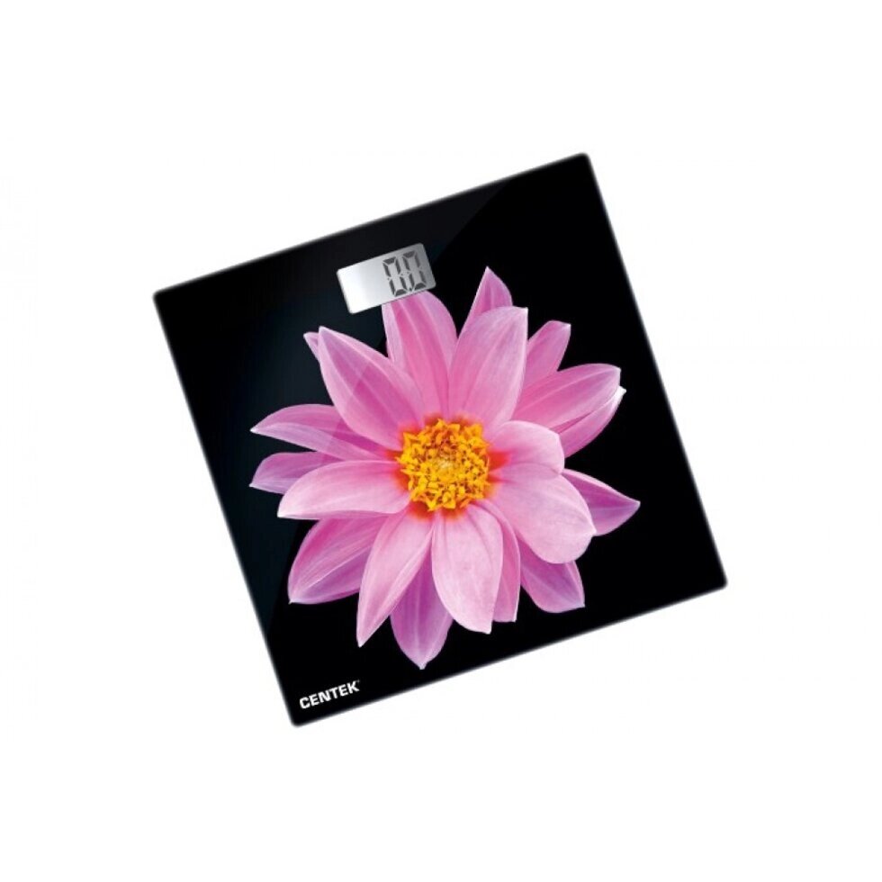 ���� ��������� Centek CT-2416 (Pink Flower) ����������� 180 ��, 0,1��, LCD 45x28, ������ 26�26��