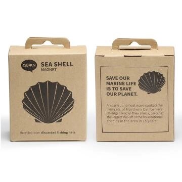 ������ Sea Shell